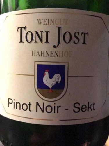 Weingut Toni Jost Pinot Noir Sekt Vivino Us