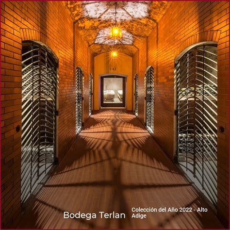 Bodega Terlan wein plus Revista vinícola