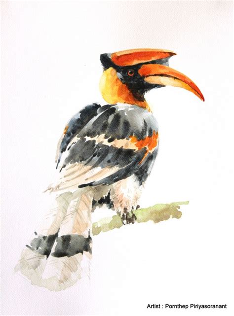 HORNBILL Bird Painting Bird print art Bird by OrientalArt2029