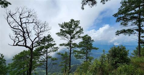 Hiking To Doi Suthep Peak Delectable Cuisine Wat Pha Lat Travel