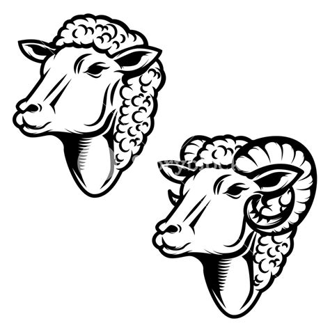 Sheep Head Drawing | Free download on ClipArtMag