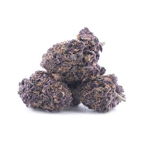 Buy Platinum Huckleberry Cookies Indica Dominant Hybrid TGA