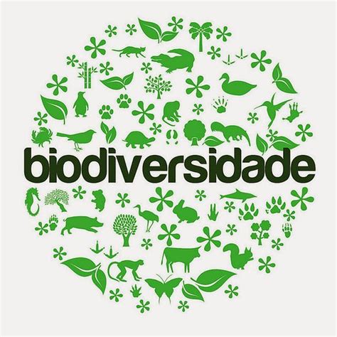 Dias Verdes Dia Internacional Da Biodiversidade