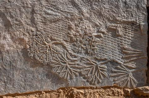 Rare Year Old Stone Carvings Discovered In Iraq