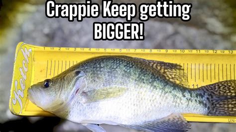 Crappie Fishing The River Beginning Of Spring Surprise Catch