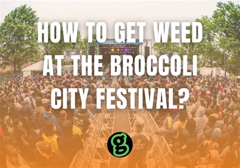 How To Get Weed At The Broccoli City Festival 2024 In Dc Giving Tree Dc