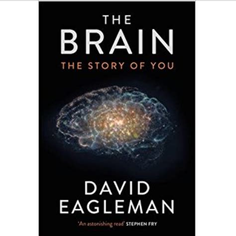 The Brain The Story Of You By David Eagleman Education And Teacher