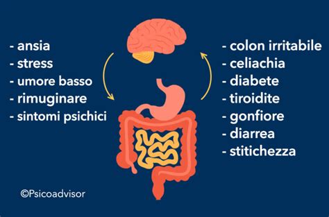 Asse Intestino Cervello Come La Psiche Condiziona Il Tuo Corpo