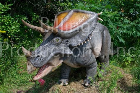 Chasmosaurus