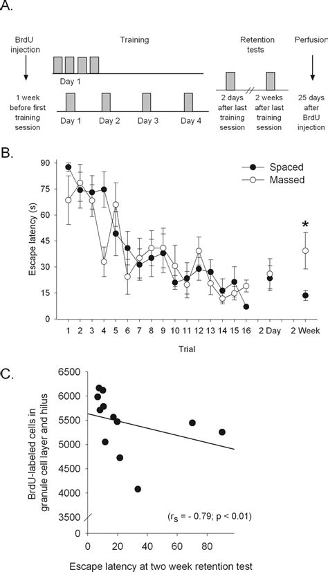 Neurogenesis And The Spacing Effect Learning Over Time Enhances Memory