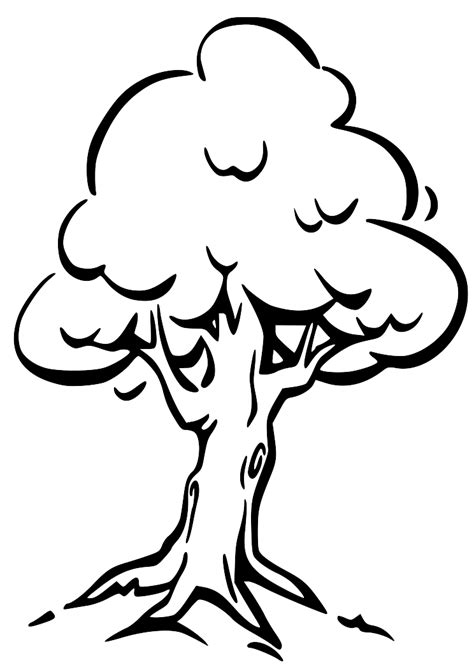 Clip Art Tree Outline - ClipArt Best