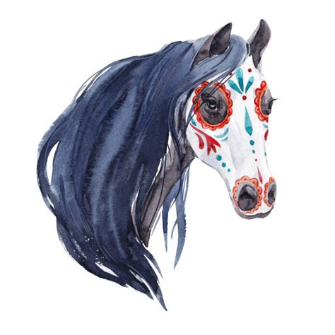 Ugly Horse Drawing Illustrations Royalty Free Vector Graphics And Clip