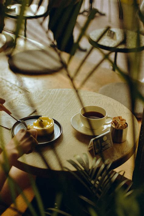 Outdoor Breakfast by the Beach · Free Stock Photo