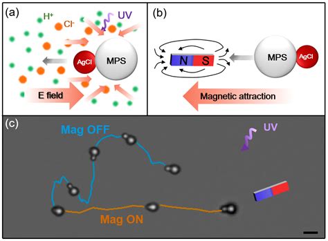 Molecules Free Full Text A Versatile Method For Synthesis Of Light