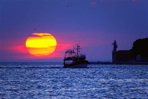 Zadar Croisière au coucher du soleil et croisière nocturne avec vin