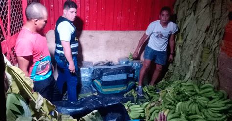 Decomisan Kilos De Marihuana Camuflados En Carga De Pl Tanos En