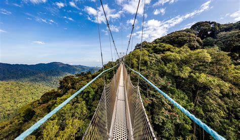 Rwanda Canopy Walk Nyungwe National Park Rwanda Tours