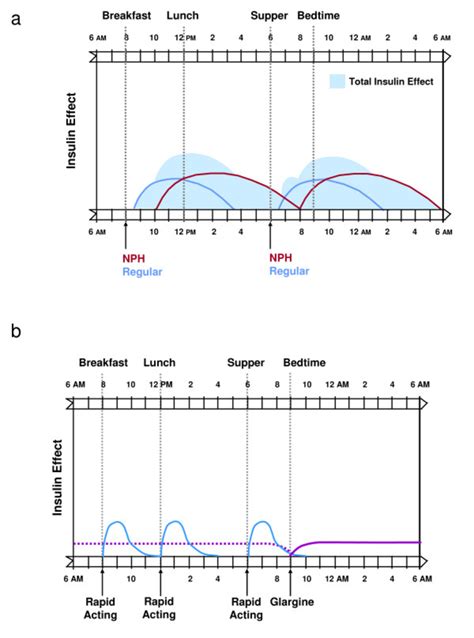 Basal Prandial Insulin Replacement Profiles Using A Nph Plus Regular