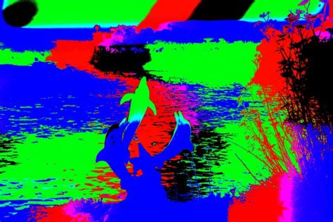 Abstract Contemporary Dolphin Art Free Stock Photo - Public Domain Pictures