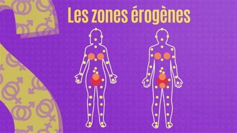 Sexo Test Les Zones érogènes Je Taime Etc Youtube