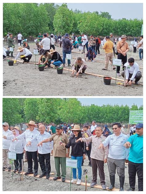 Memperingati Hari Lahan Basah Sedunia KLHK Bersama BRGM Melaksanakan