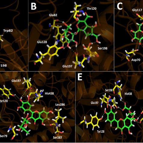 Predicted Binding Mode And Predicted Intermolecular Interactions Of The