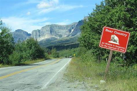 "Aggressive Grizzly Bear Activity" Prompts Closures in Glacier National ...