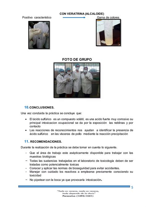 Practica De Intozicacion Por Acido Sulfurico PDF