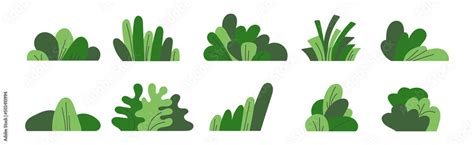 Beautiful Shrubbery Cliparts For Creative Projects Free Downloads