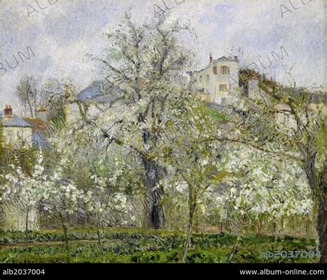 Camille Pissarro Pontoise Vegetable Garden Trees In Bloom Spring