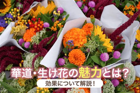 華道・生け花の基本道具とは？初心者が揃えるべき必須アイテムを紹介！