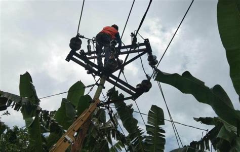 Pasca Gempa Di Flores Pln Gerak Cepat Pulihkan Listrik Petrominer