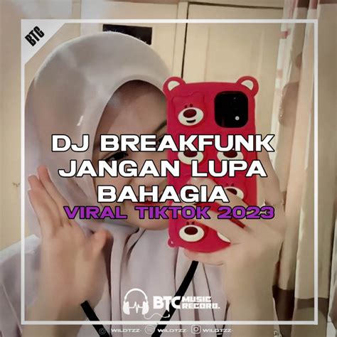 Dj Breakfunk Jangan Lupa Bahagia Viral Tiktok 2023 Single By Wildtzz