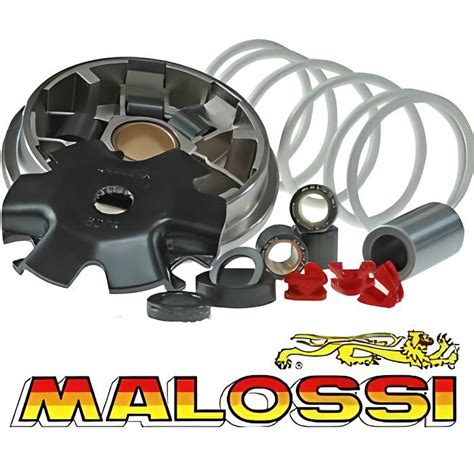 Variateur Malossi Mbk Booster Spirit Stunt Nitro Achat Vente