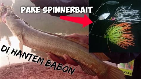 Casting Snakehead Di Spot Bekas Galian Pake Lure Dasaran Di Hantam MAMA