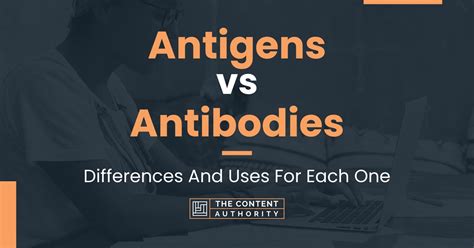 Antigens vs Antibodies: Differences And Uses For Each One