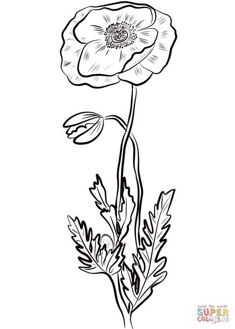 Poppy Coloring Pages