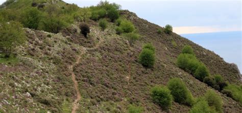 Monte Acuto Un Panorama Mozzafiato E Non Solo Turismo Savona