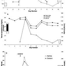 Figure Changes In Serum FGF 23 1 25 D Phosphorus TmP GFR And