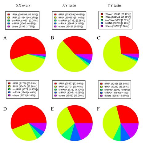 Sex Biased MiRNAs In Gonad And Their Potential Roles For Testis