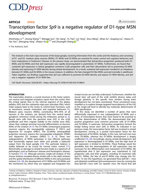 Pdf Transcription Factor Sp Is A Negative Regulator Of D Type Msn