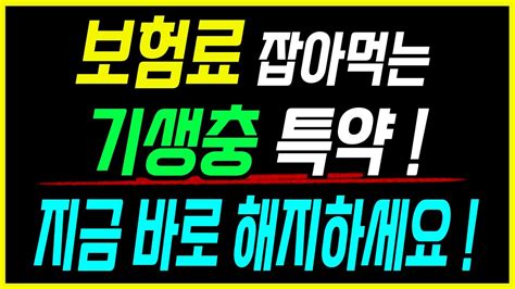 절대 가입하면 안되는 보험 특약 4가지 확인하세요 무조건 손해봅니다 Youtube