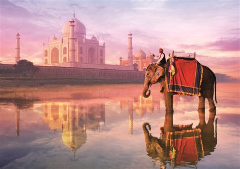 Elephant At Taj Mahal 1000pc Jigsaw Puzzle By Educa Taj Mahal Best