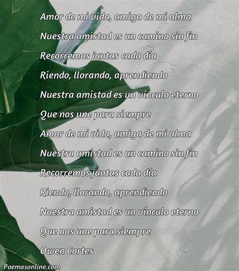 Mejores Poemas De Amistad Para Una Amiga Poemas Online