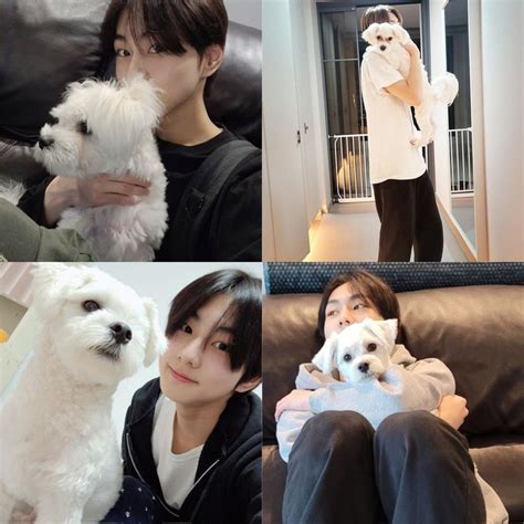 Enhypen Jungwon Animals Dogs Boyfriend Material