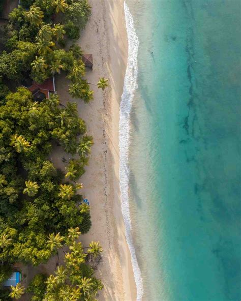 Quelle est la période la moins chère pour partir en Martinique