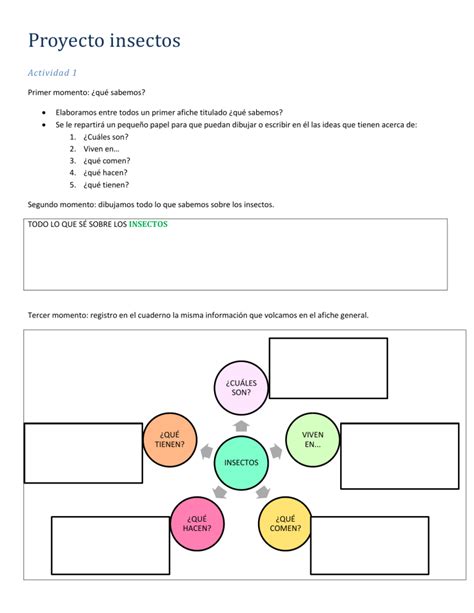 Proyecto Insectos