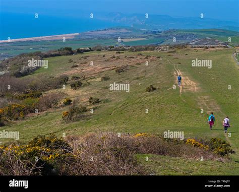 The South west coastal path near West Bexington Dorset in early April ...