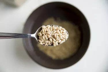 How To Cook Barley In Microwave Northernpossession