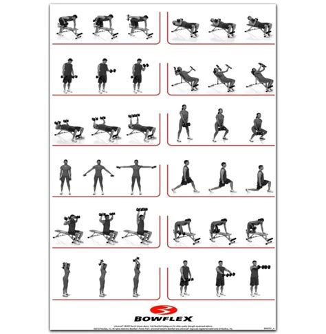 bowflex dumbbell workout poster - Bowflex Equipment